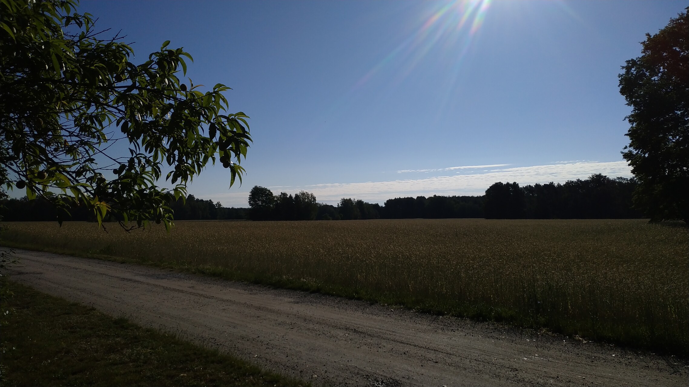 decorative background image